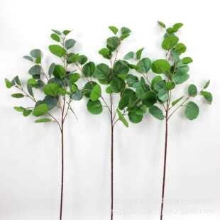 仿真花假花 新款 仿真植物 直销仿真手感金钱叶 婚庆婚礼 尤加利