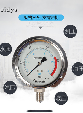 船用压力表YN100T径向带边不锈钢压力表0-1.6MPa水压气压3/8 1/2