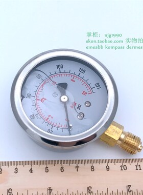 立式径向充油耐震压力表0-140psi水压表0-10bar气压表2分螺纹G1/4