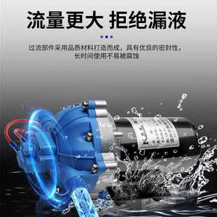 直销供应DP 新款 150型12V高压微型隔膜泵多规格高压隔膜泵微型隔
