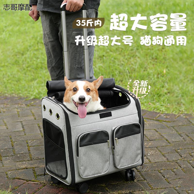 宠物拉杆箱狗狗外出包小