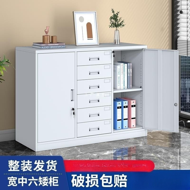 宽中六矮柜铁皮文件柜办公室资料档案柜带锁抽屉储物柜家用收纳柜