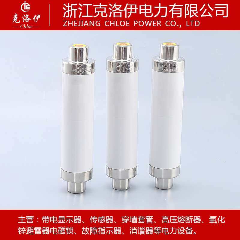 10kv户内高压限流熔断器XRNT-12/63A高分段能力限流熔断器