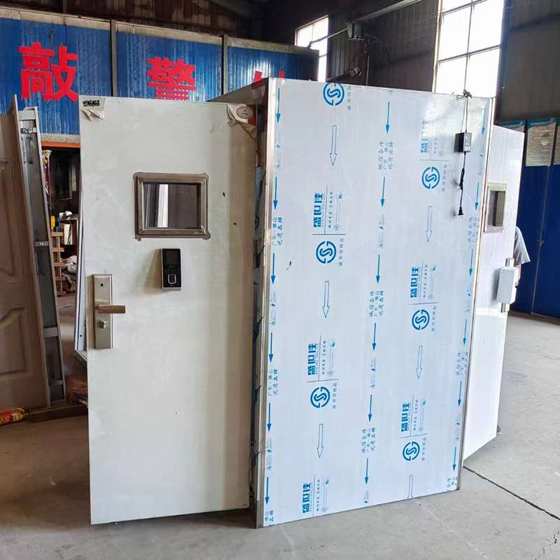 东利家用安全防盗门进户入户门子母门可视智能锁金库门