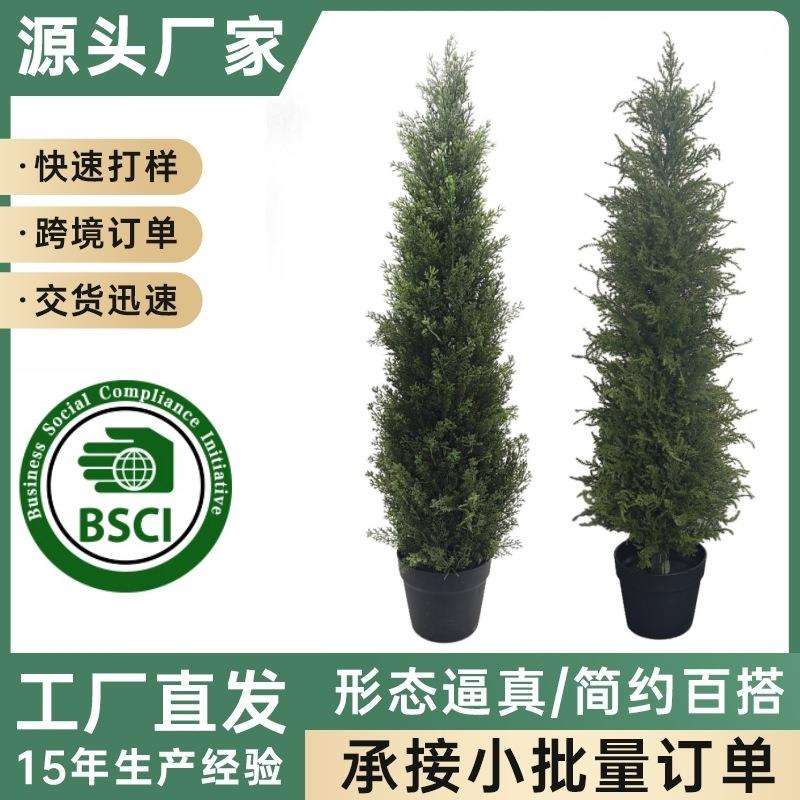 仿真松柏树圣诞节庭院装饰专用欧美风格松柏盆栽抗UV耐晒真