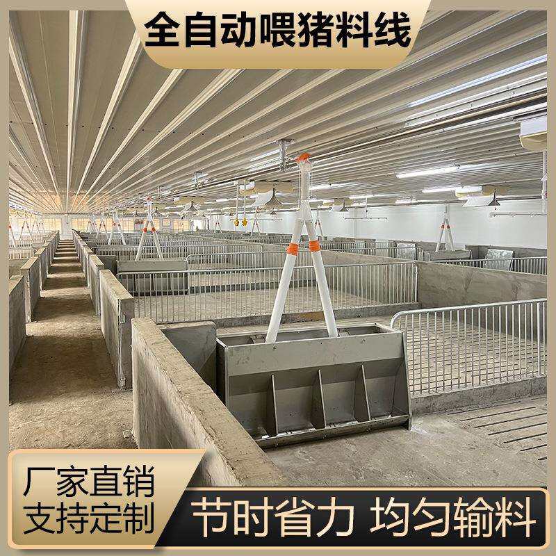 全自动喂料养猪镀锌料塔养殖场喂料线养鸡场绞龙料线喂料系统养殖