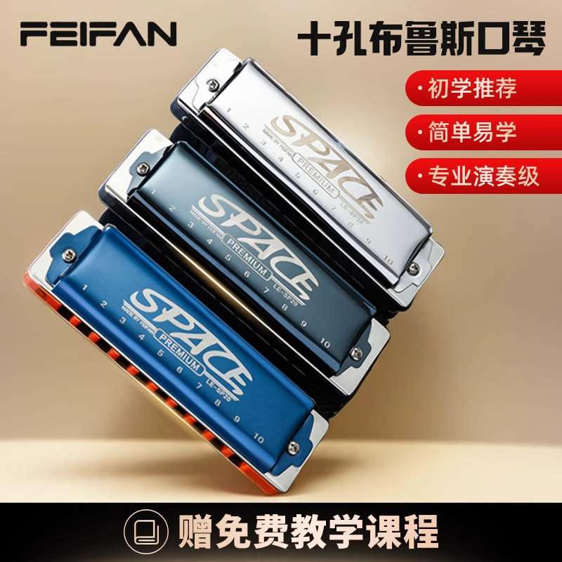 FEIFAN飞繁十孔C调布鲁斯口琴SP20初学者入门成人专业蓝调乐器