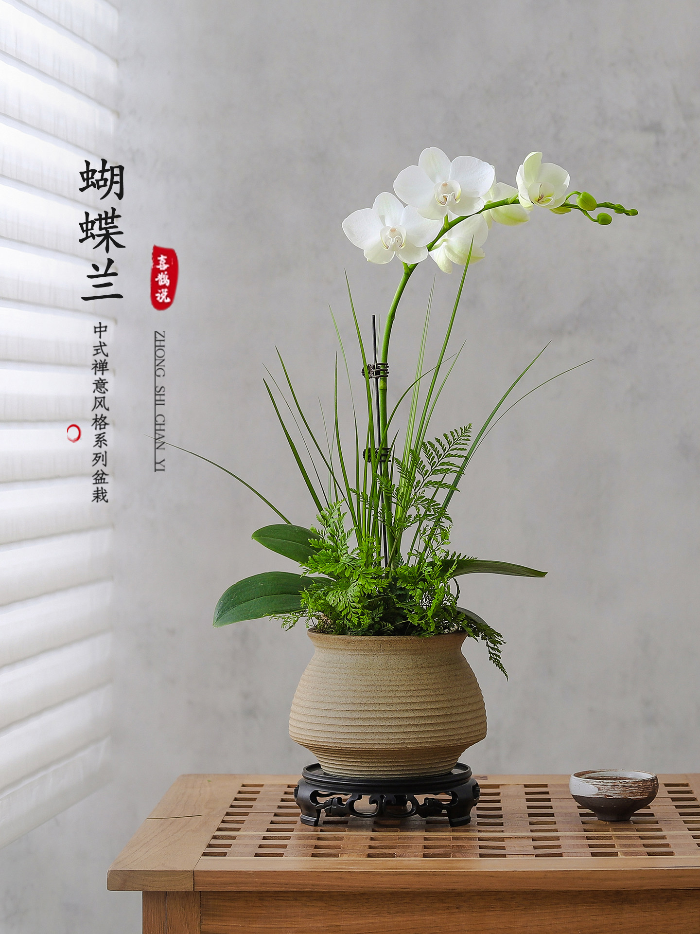 蝴蝶兰盆栽带花苞室内客厅植物办公室桌面绿植花卉四季好养活盆景