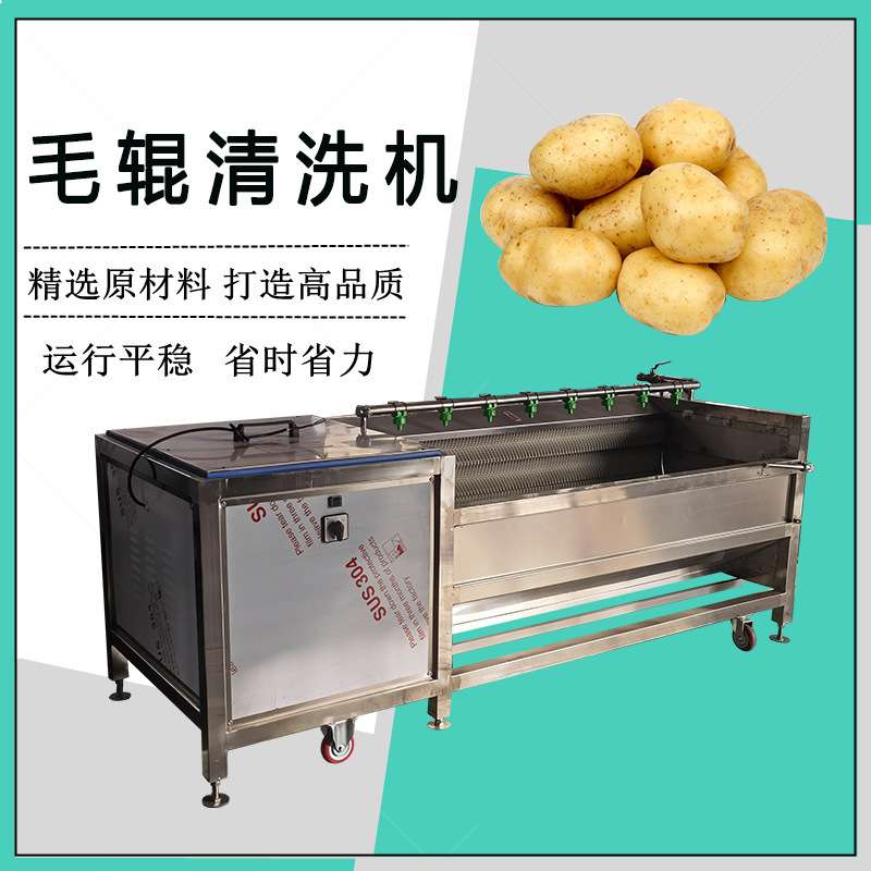 小型辣根毛辊清洗机 莲藕毛辊去皮清洗设备 扇贝生蚝清洗机 佳鸿