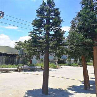 仿真通信塔松树人造美化树景观装饰圣诞树通信树松树户外绿植松树