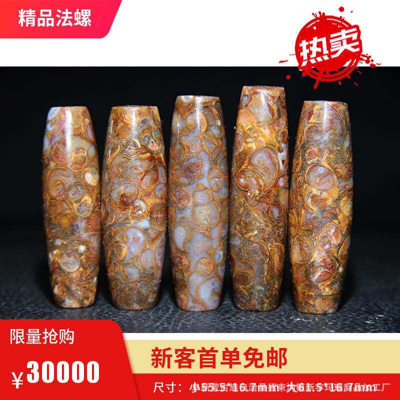 工厂原始海螺化石天珠法螺天珠九眼石页岩老真精品法螺