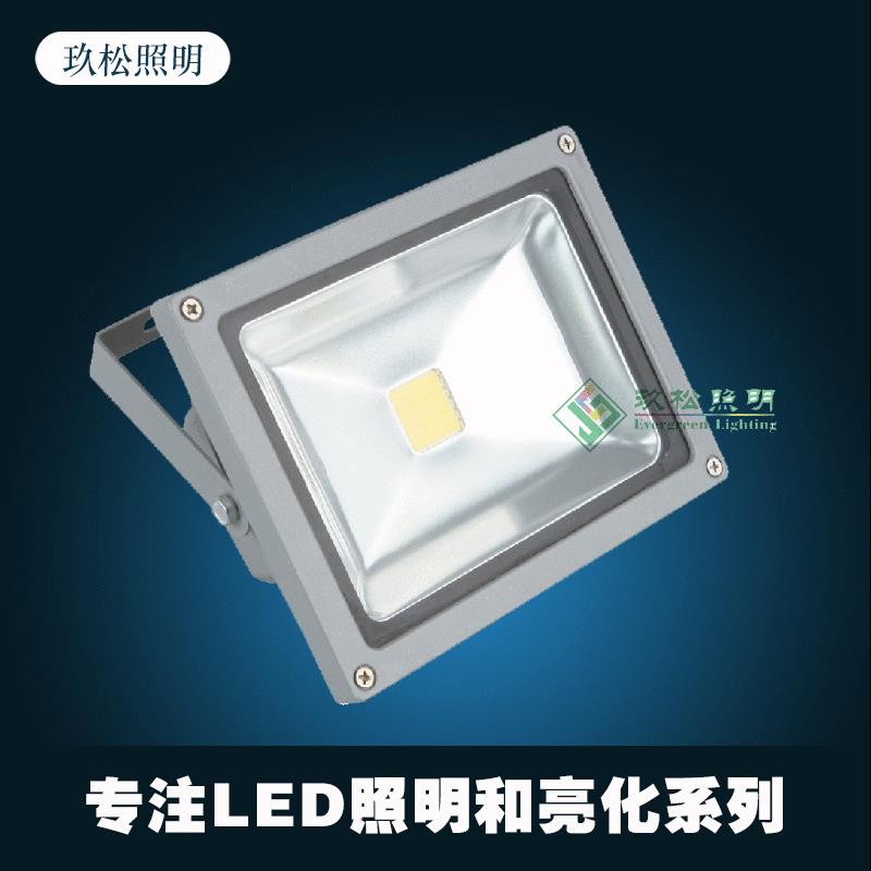 户外LED投光灯50WLED投光灯户外楼体公园广场LED泛光灯