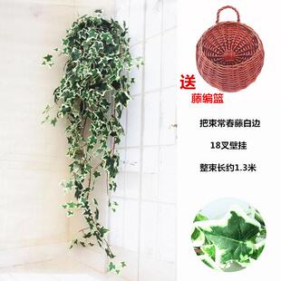 仿真常春藤植物墙绿萝室内外吊兰垂吊壁挂花藤条装饰绿植藤蔓叶子