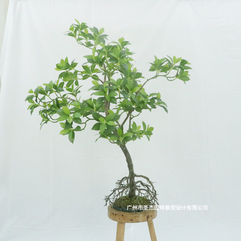 厂家直销仿真红树林室内人造热带绿植物阻燃观赏配件造景盆栽装饰