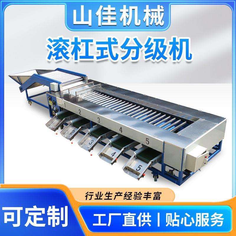 小金桔清洗称重分级机筛选设备智能水果分选机脆蜜金柑分拣机