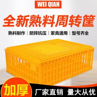 鸡用鸡笼周转箱成鸡鸭鹅运输笼加厚长方形鸡笼子特大号家禽鸡用框
