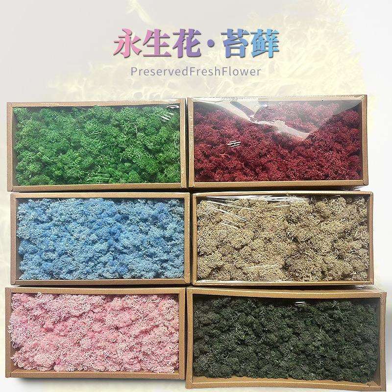 永生苔藓植物墙造景装饰手工制作干花配材花材真苔藓工厂直发