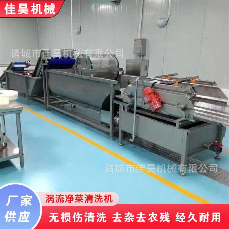 商用不锈钢海带旋流式清洗机菠菜黄瓜洗菜机龙须菜涡流清洗机设备