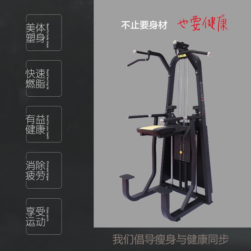 生产商用助力引体向上训练器健身房上肢屈伸单双杠训练器