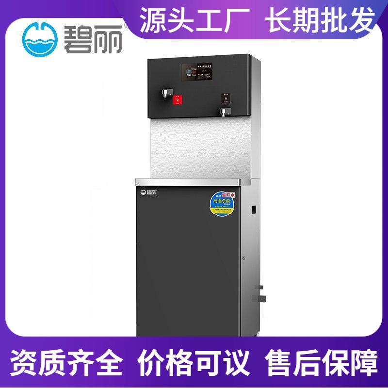 广东碧丽柜两头商用办公室饮水机全自动进水不锈钢立式智能饮水