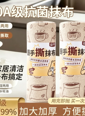 懒人周抛抗菌吸水干湿两用抹布