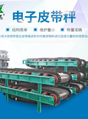 定量给料皮带秤j工厂供应 高精度电子皮带秤称重给煤机 计量皮带