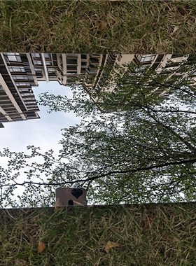 有机玻璃镜面板 亚克力镜子 塑料PC软镜子万花筒手工材料教学镜片