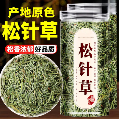松针茶的功效中药材正品500g泡水喝长白山野生天然松针干马尾松针