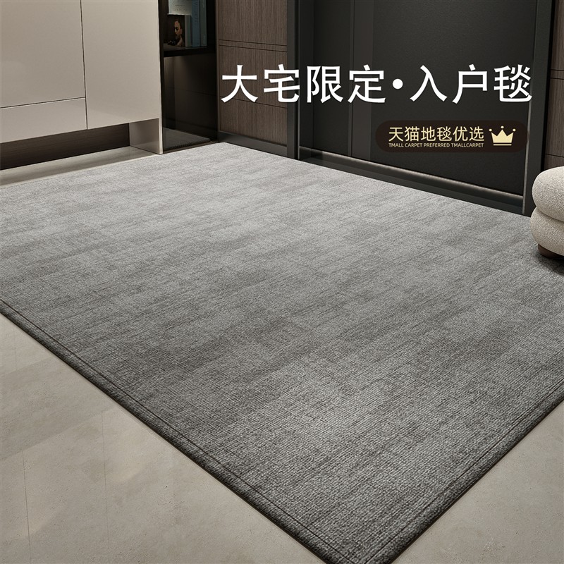 地垫入户门垫2025新款高级感大门口进门脚垫耐脏防滑室内家用地毯