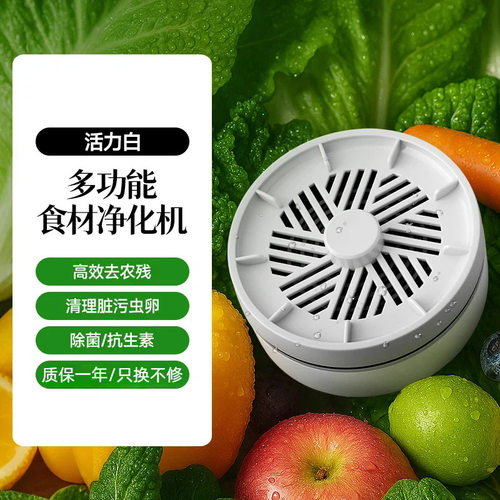 无线果蔬清洗净化器食材清洗机家园水果除菌除农残自动洗菜机