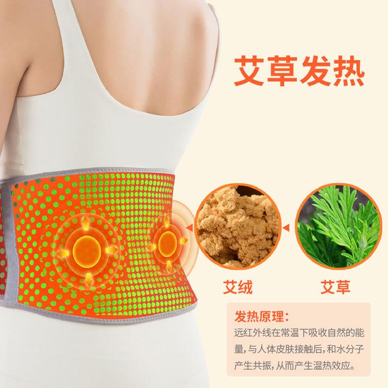 新款直销艾草发热护腰带女士腰部热敷护肚子保暖腰间盘劳损理疗男