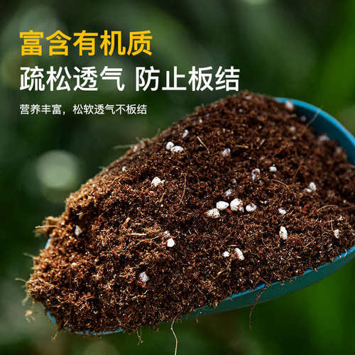 双心多肉专用营养土养花通用型花土种植土花卉月季种菜土壤泥炭土