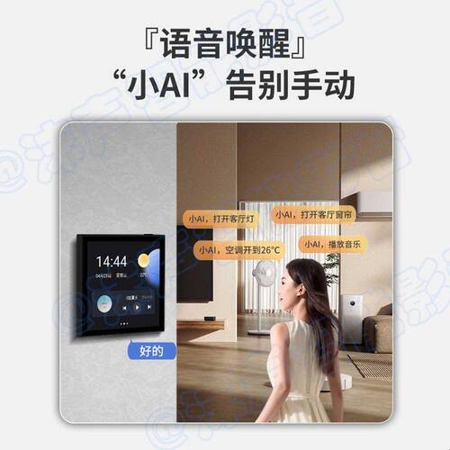HOPE/向往 四寸家庭背景音乐主机系统套装智能家居吸顶喇叭音箱