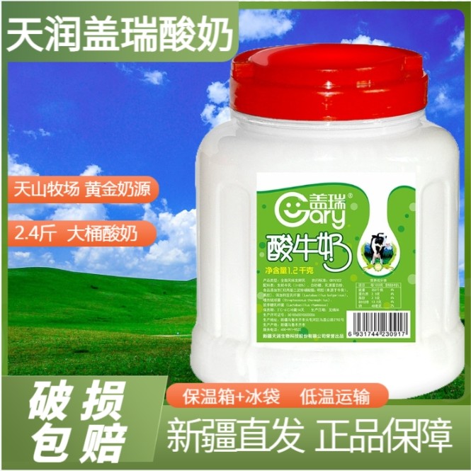 新疆盖瑞酸奶牛奶大桶装2.4斤/桶水果捞网红新疆老酸奶原味
