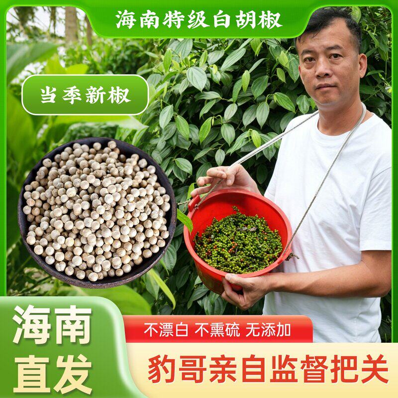 【大个阿豹白胡椒】海南正宗老树特级白胡椒粒天然白胡椒海南发货