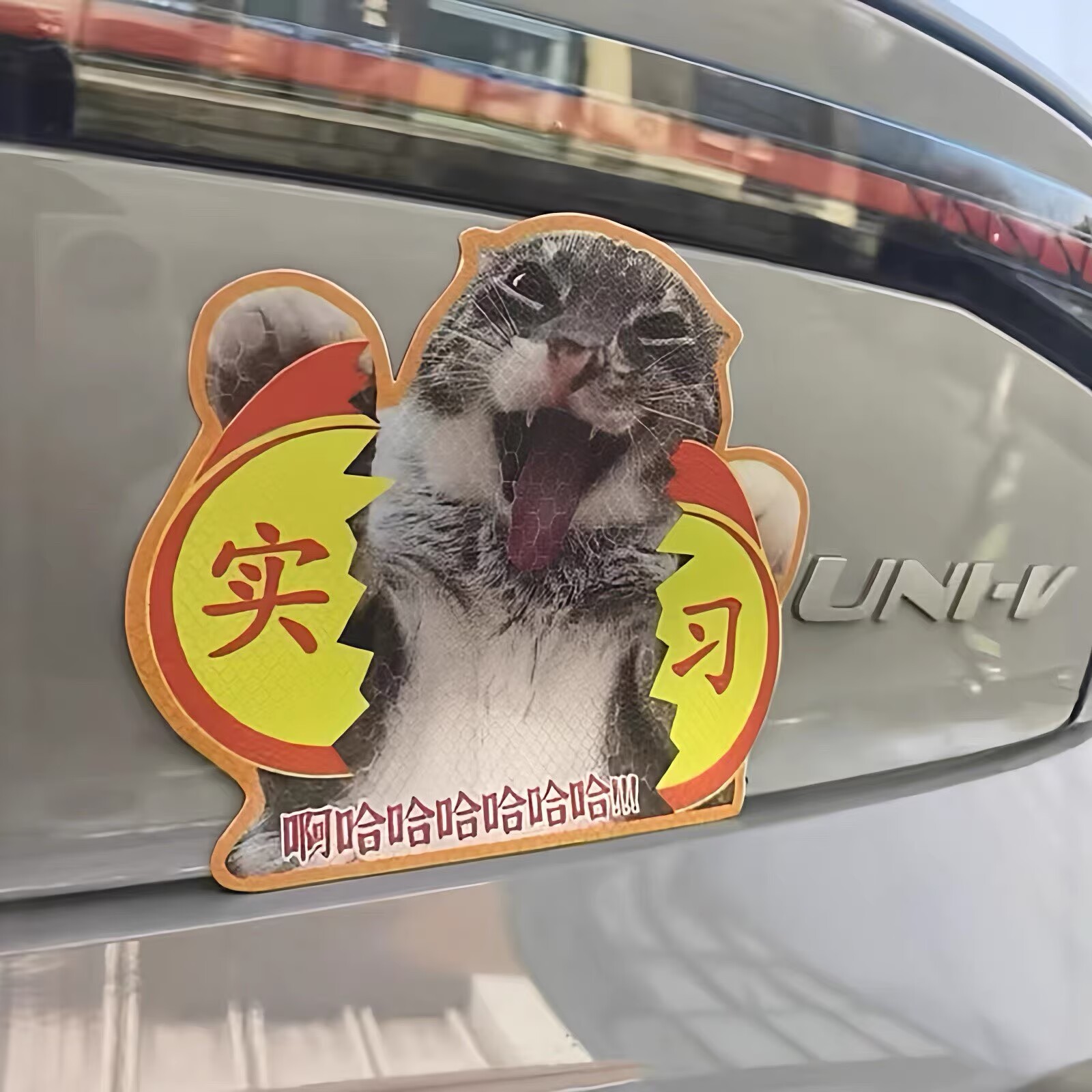 搞笑猫咪车贴新手司机装饰磁贴防水反光实习标志贴提示车尾警示贴