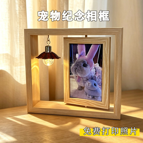 宠物毛发纪念相框猫咪照片定制
