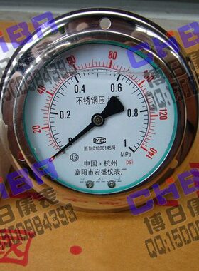富阳宏盛仪表全不锈钢耐震轴向带前边压力表YN-100BFZT 0-1MPA/