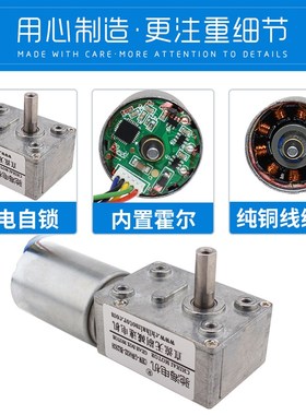 GW4632BL2838蜗轮蜗杆无刷减速电机低速大扭力12V 24V