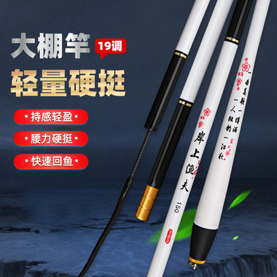 碳素10h19调大棚竿黑坑鱼竿1.2米3.9米超轻硬飞磕巨物钓鱼竿