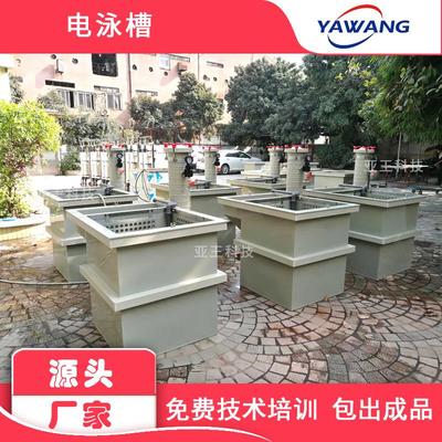 电泳设备 电泳设备小型 电泳槽设备 电泳设备厂家 小型电泳漆设备