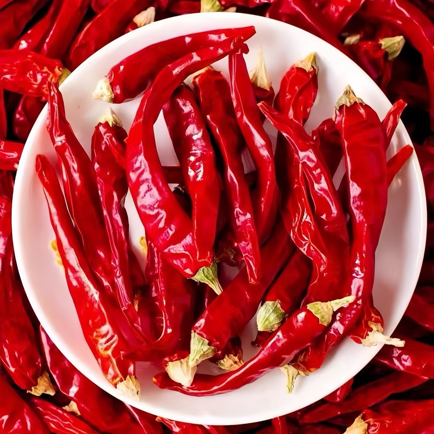 印度魔鬼辣椒香辣特辣超辣王农家干辣椒商用可磨粉面切辣椒段500g