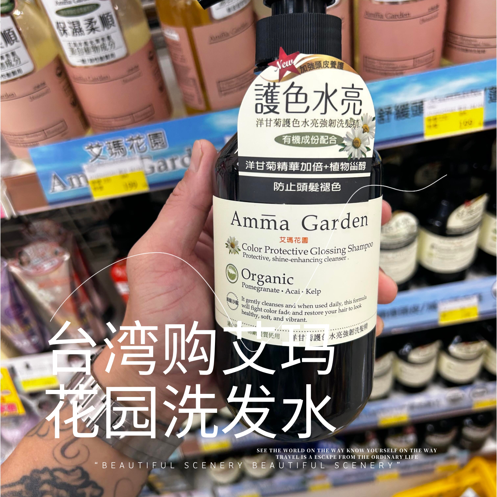 台湾购Amma Garden艾玛花园洗发水紫草抗屑立体蓬松马鞭草洗发露