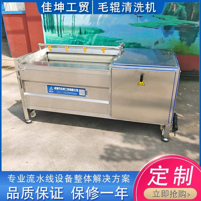生蚝海蛎子毛刷清洗机贝壳毛辊清洗机根茎类果蔬去皮清洗设备