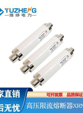 豫峥限流熔断器高分断保险丝XRNT10-12KV高压50A63A80A100A125A