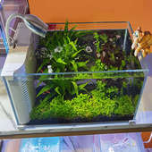 新款 桌面鱼缸客厅中小型超白玻璃静音免换水懒人自循环过滤水族箱