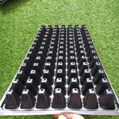 育苗穴盘98孔育苗盘蔬菜瓜果辣椒番茄扦插加厚材质韧性强耐折 包邮