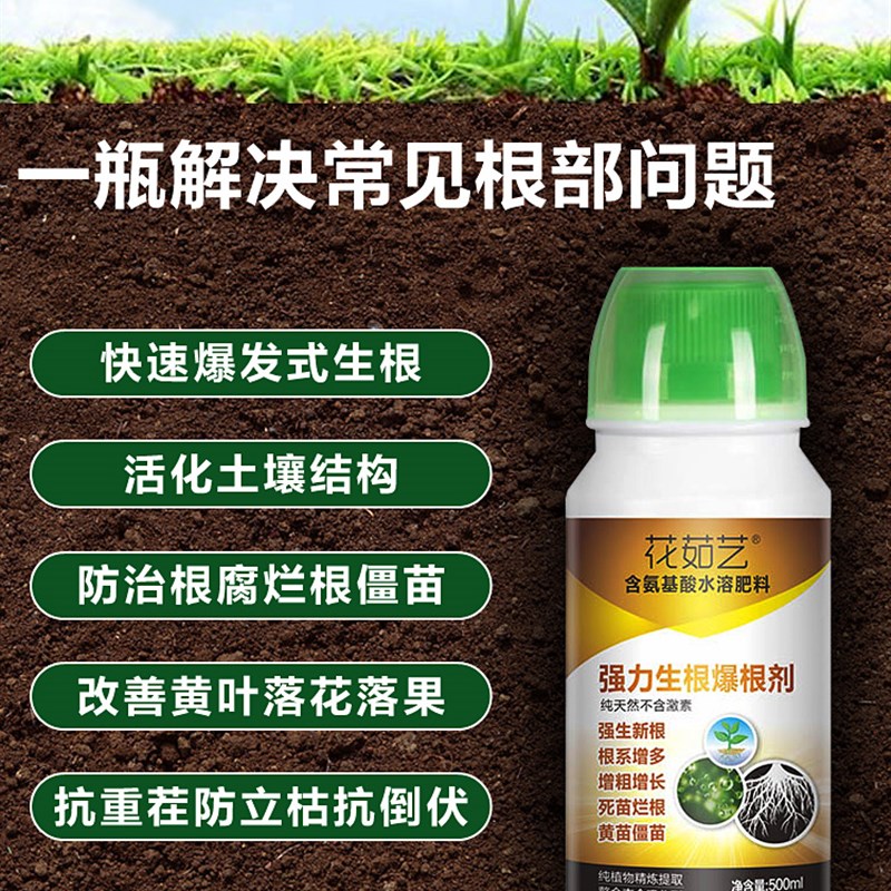 大树生根剂树木移栽生根剂生根粉强力复活液植物通用型生根壮苗剂