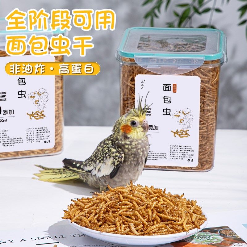 面包虫干黄粉虫专用鸟粮芦丁鸡乌龟刺猬仓鼠零食鹦鹉八哥鸟食饲料
