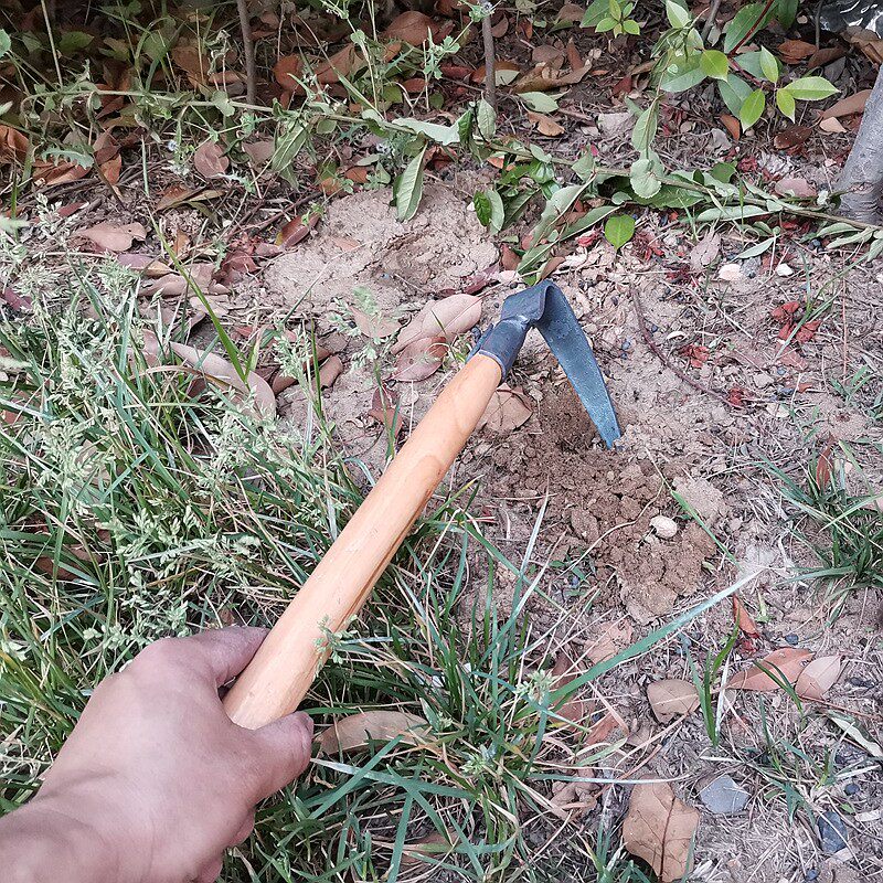 种菜锄头木柄种花弹簧钢两齿三齿耙子挖笋松土鱼三叉子海蛎花园镐,农机/农具/农膜,锄头,淘宝优惠券,粉丝福利购,淘宝优惠卷